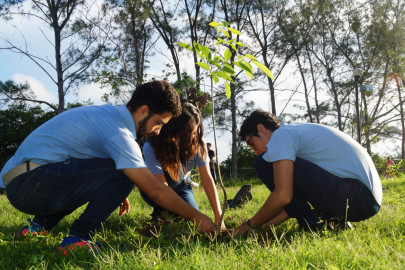 Emprenden en Tampico Jornadas de Reforestación 