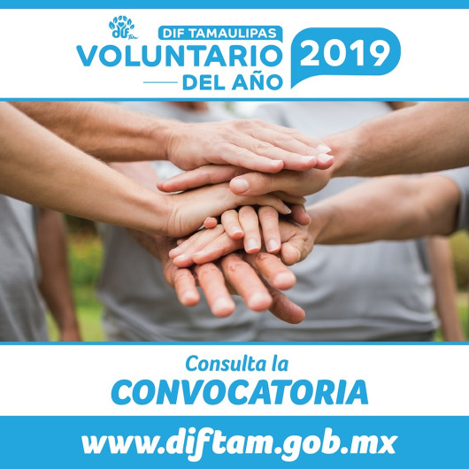  ¡Se busca al voluntario del año 2019!