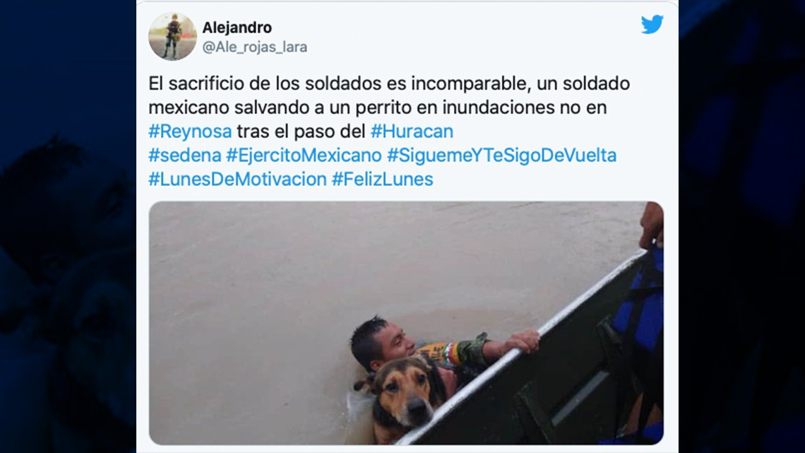 Salvan a perritos tras el paso de ‘Hanna’ en Reynosa