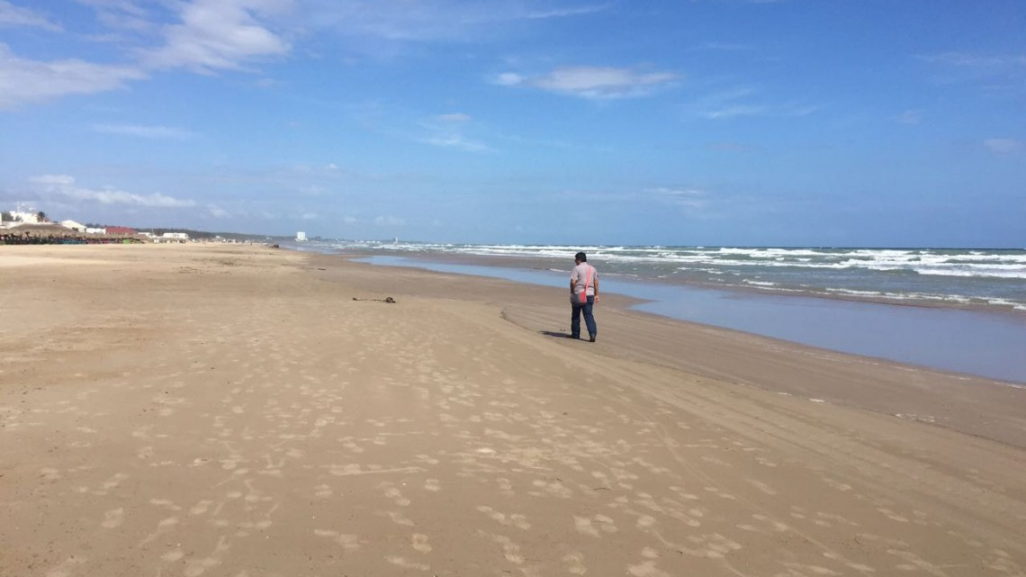 Exhortan a no bañarse en playa Miramar ante presencia de medusas