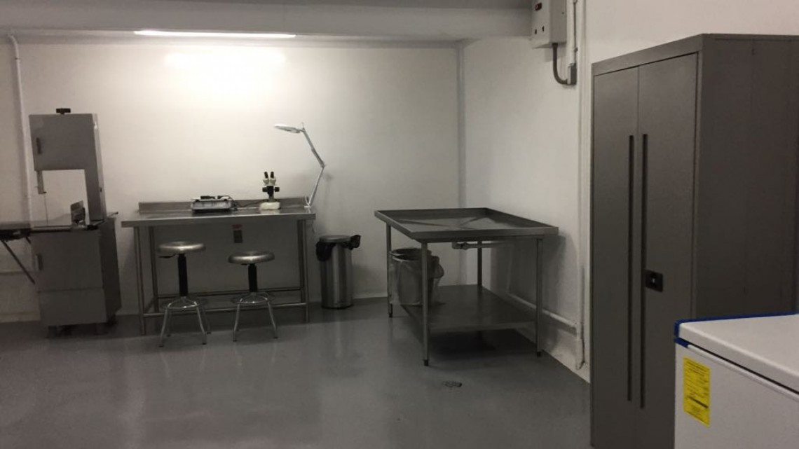 Puerto de Altamira incrementa su competitividad, con instalación de inspección sanitaria