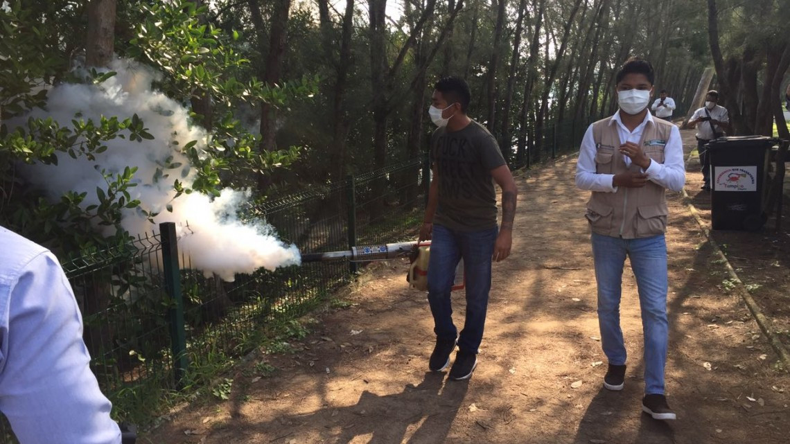 Buscan evitar proliferación de moscos transmisores de enfermedades