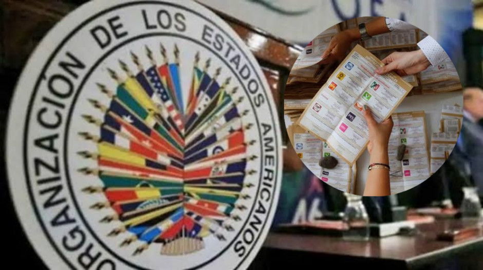 INE pacta para que OEA observe durante elecciones 