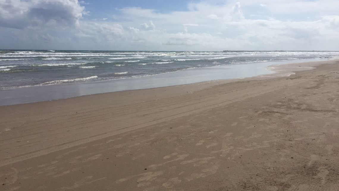Exhortan a no bañarse en playa Miramar ante presencia de medusas