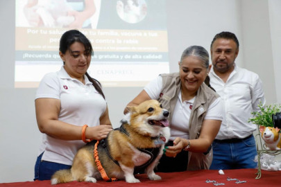 Inauguran Estado y Municipio Jornada Nacional de Vacunación Antirrábica 2023 en Reynosa