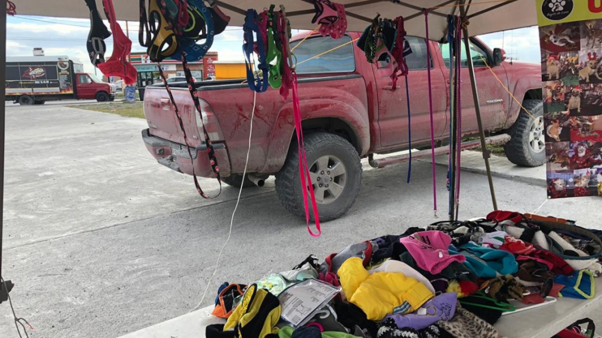 Rifan entrenamiento canino a beneficio de refugios de animales