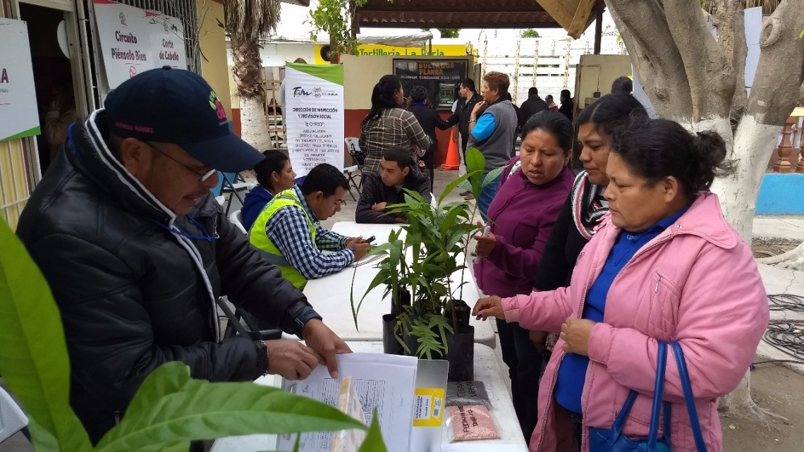 Más de 18 mil familias beneficiadas por "Unidos por Reynosa"