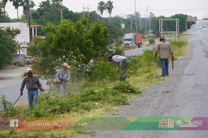 Realizan trabajos de limpieza en Libramiento