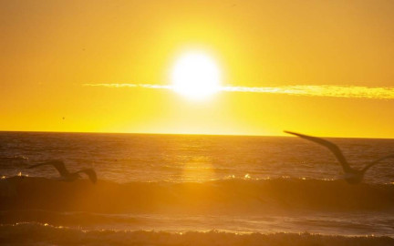 2023 rompe récords de temperaturas y deshielo en Antártida: OMM