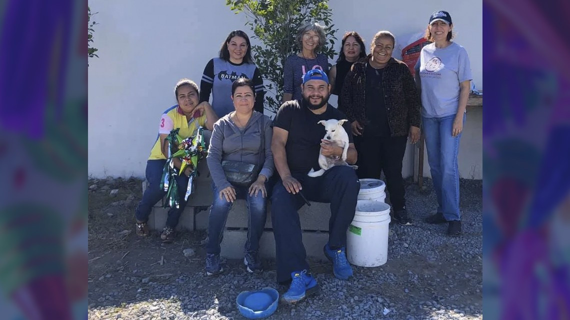 Ofrecen posada para perritos callejeros en Matamoros