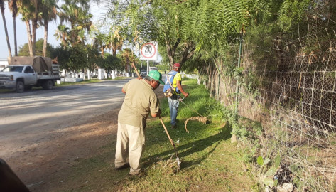 Desarrolla Municipio labor de mantenimiento en La Playita 