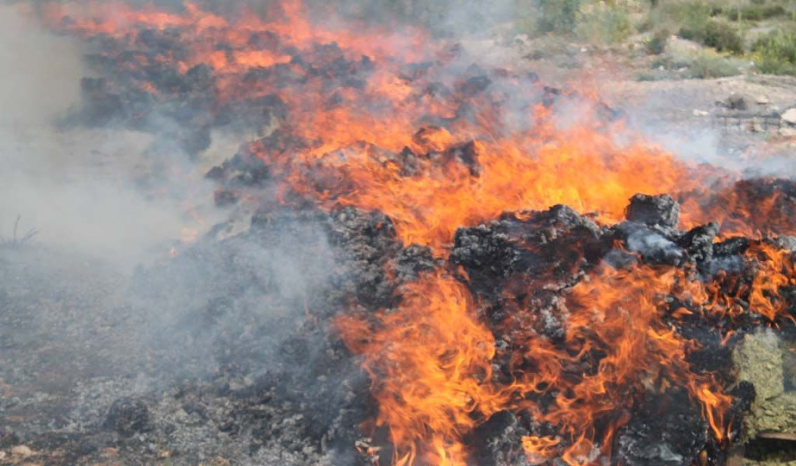 En CDMX queman droga asegurada