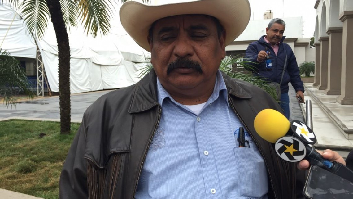 En espera de los incentivos económicos, por siembra de oleaginosas