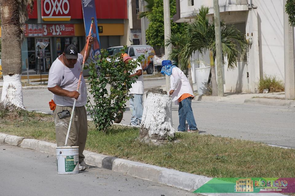 Realizan trabajos en colonia Brisas del Campo