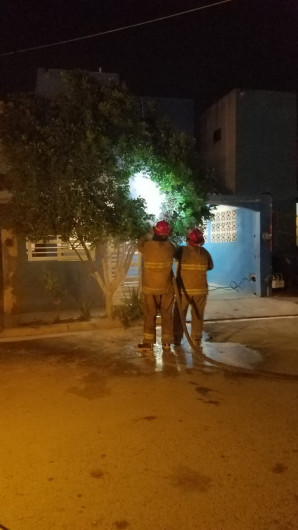 Recomienda Gobierno Municipal no destruir enjambres de abejas