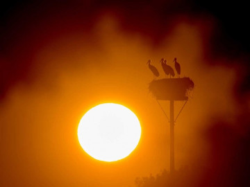 Julio de 2019, es más caluroso en el mundo registrado