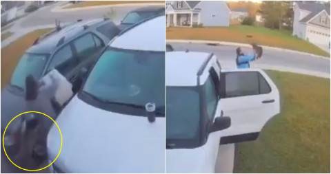 Hombre defiende a su esposa del ataque de un lince