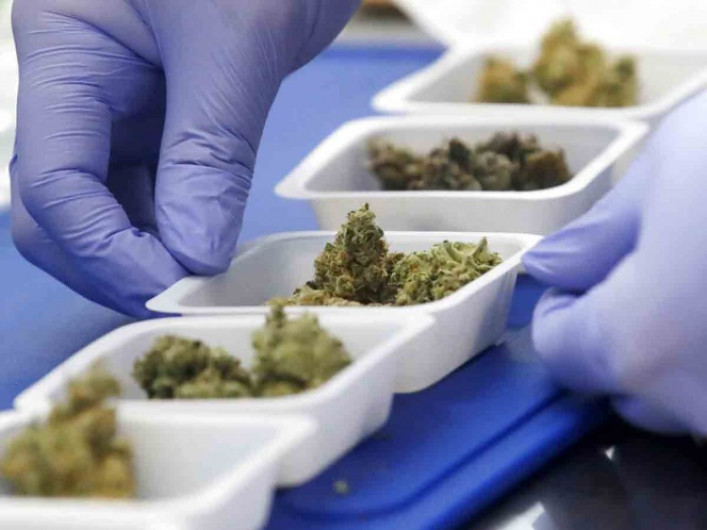 NY despenaliza mariguana