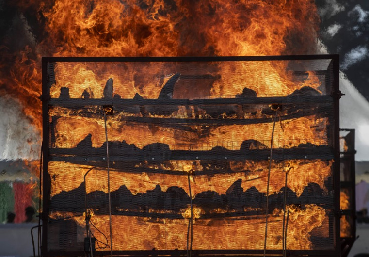 Queman cuernos de rinoceronte para concientizar venta ilegal de estos en la India