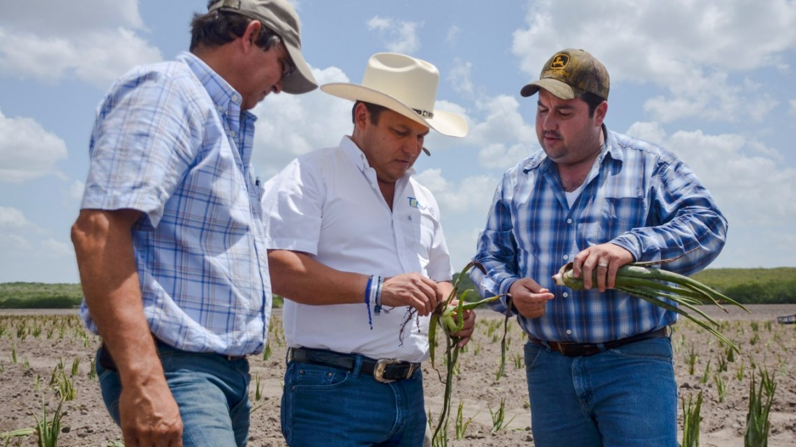 Incrementarán sus ingresos productores agrícolas