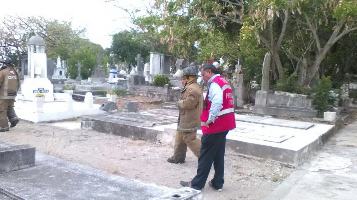 Abejas africanizadas causan pánico en panteón privado