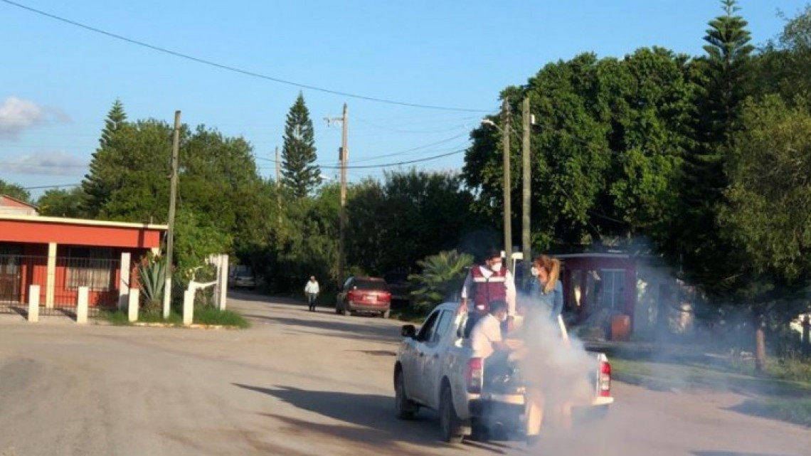 Continúa Gobierno de Matamoros con acciones de fumigación para proteger salud de ciudadanos