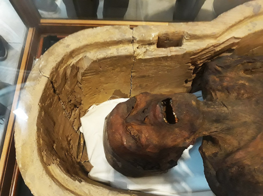 Exhiben “momia aulladora” en Museo Egipcio de El Cairo