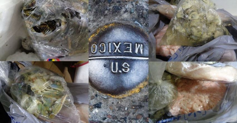 Confiscan en Puente Hidalgo-Reynosa mariscos que no contaban con documentación para ser importados  