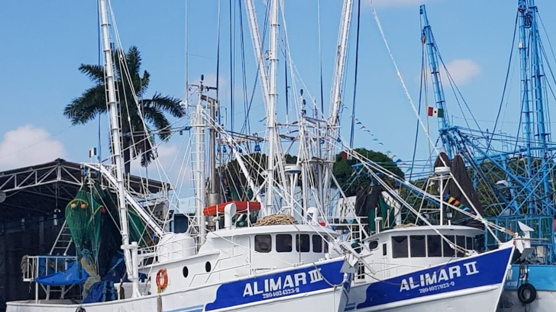 Desfilarán barcos camaroneros por playa de Miramar