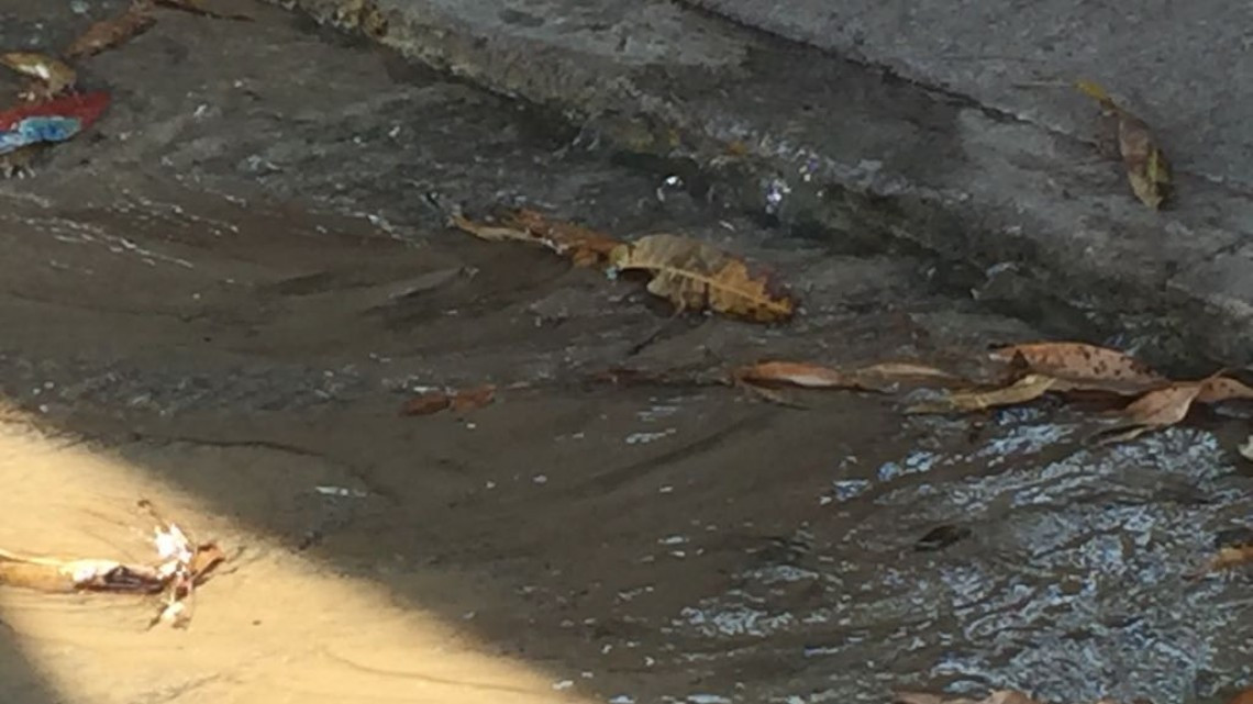 Agua se desperdicia por enorme fuga en sector Montealto