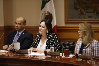 Aumentan ingresos de comercio informal y transforman calles de NLD