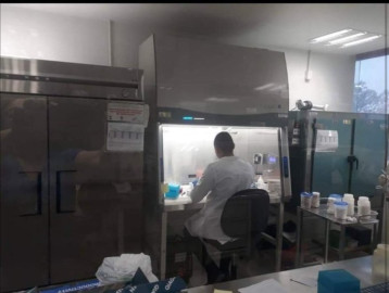 Reporta SST 96 casos positivos a COVID19 de la segunda parte de la jornada del miércoles