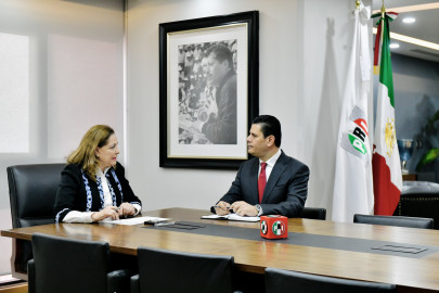 Graciela Ortíz será dirigente interina del PRI