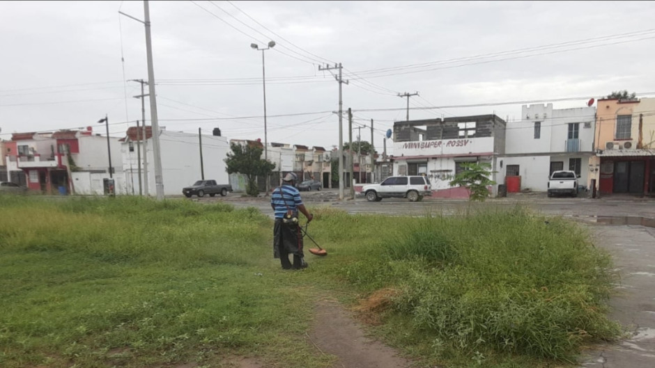 Lucha frontal coordinada contra la reproducción del Dengue