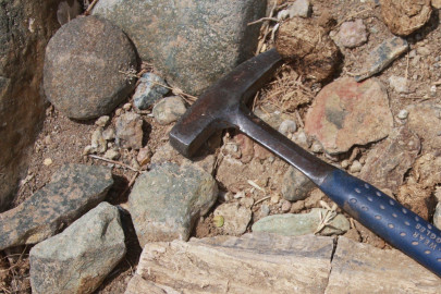 Descubren en Ecuador los primeros fósiles de dinosauro