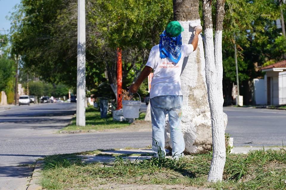 Servicios Primarios realiza labores en Avenida Las Américas