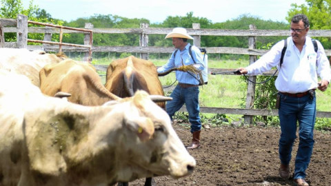 Dan inicio a programa "Ganado sano, Cerca de Ti"