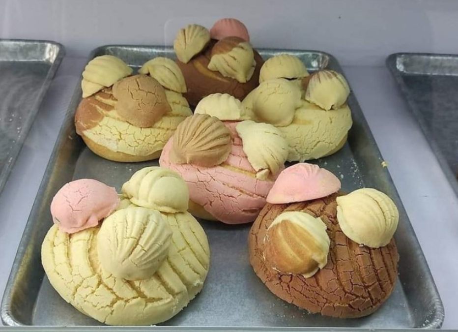 Crean en Guadalajara las ‘Con-Chamacos’ 