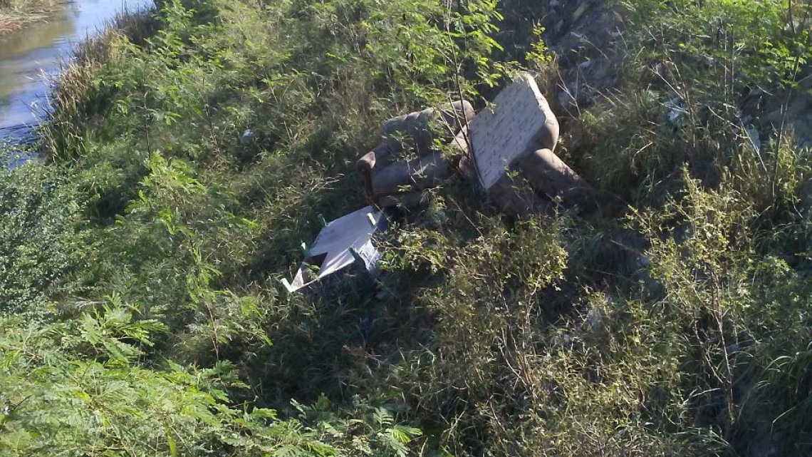 Recluta Reynosa Guardianes ambientales. Van contra "ecolocos"