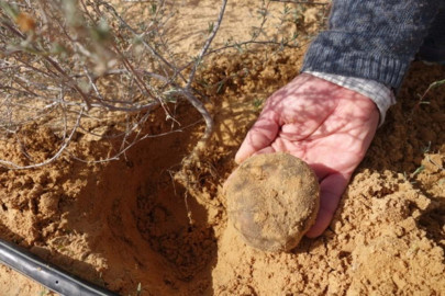 Explosión en mina deja 13 muertos en Siria