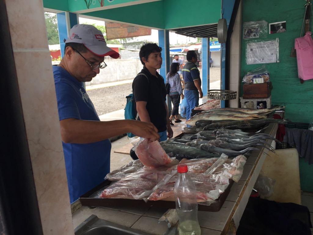 Alentadora la temporada vacacional para el sector comercio