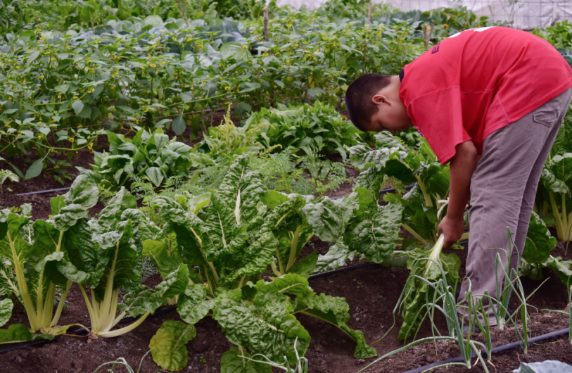 Desarrollo Rural entrega apoyos durante la jornada “Un Gobierno Cerca de Ti”