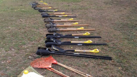 Siembran 900 arbolitos en laguna del Carpintero