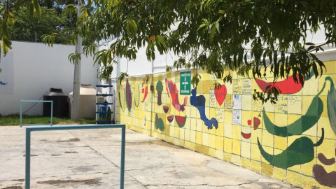 Pide DIF, asuman responsabilidad Federación y países expulsores de migrantes