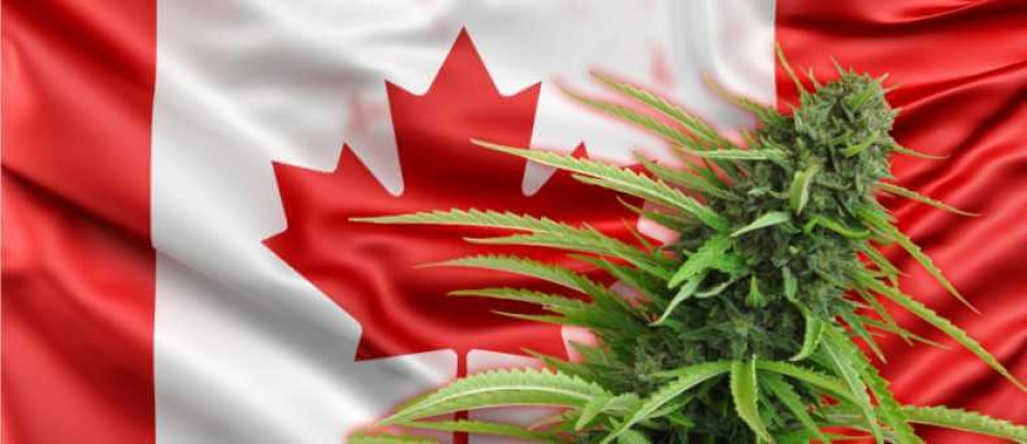 En diciembre iniciará la venta de alimentos con mariguana en Canadá 