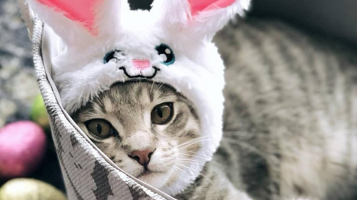 Las diferentes formas para conmemorar la pascua