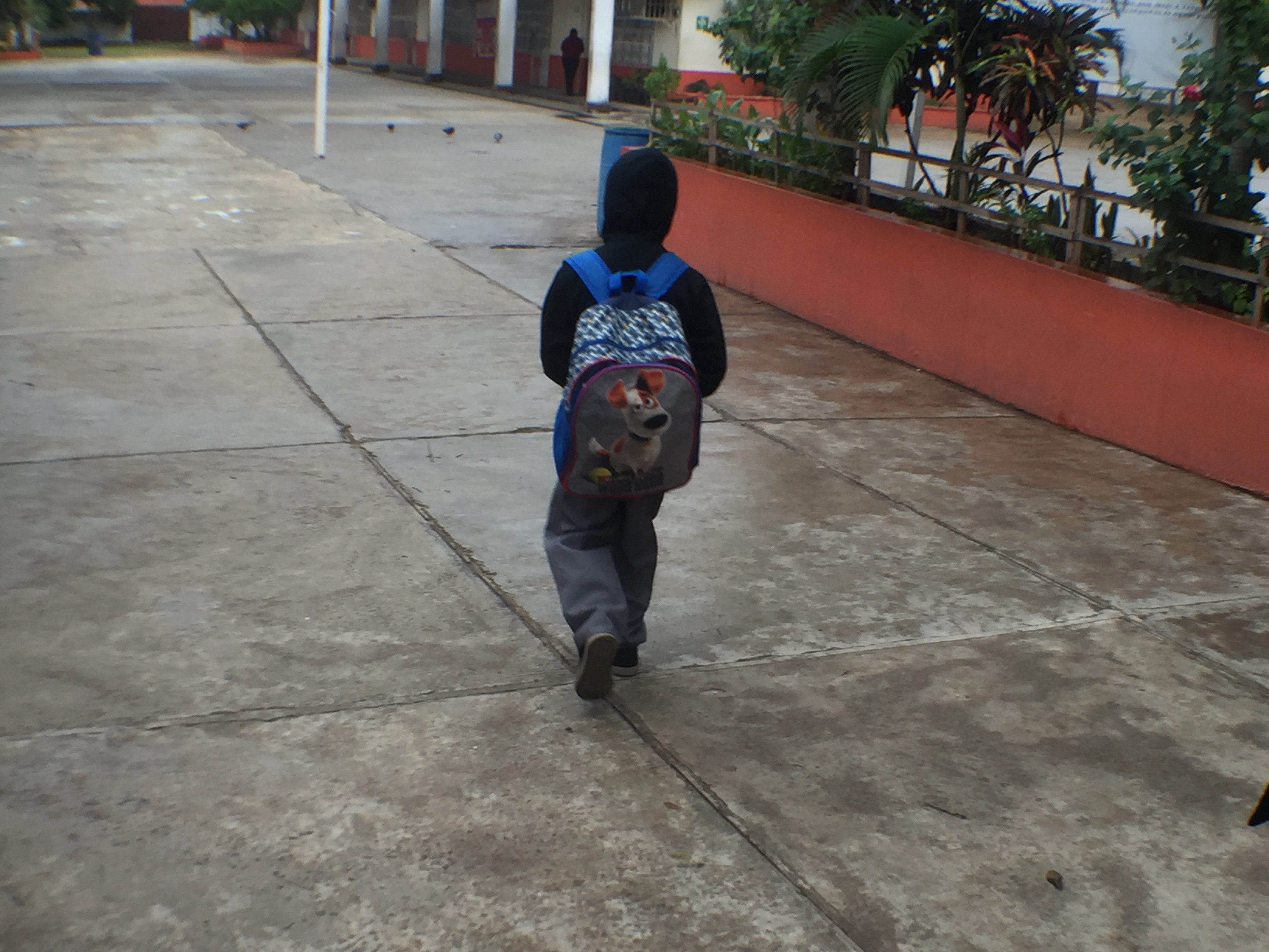 Necesario retomar operación mochila en escuelas: Víctor Meraz, diputado local