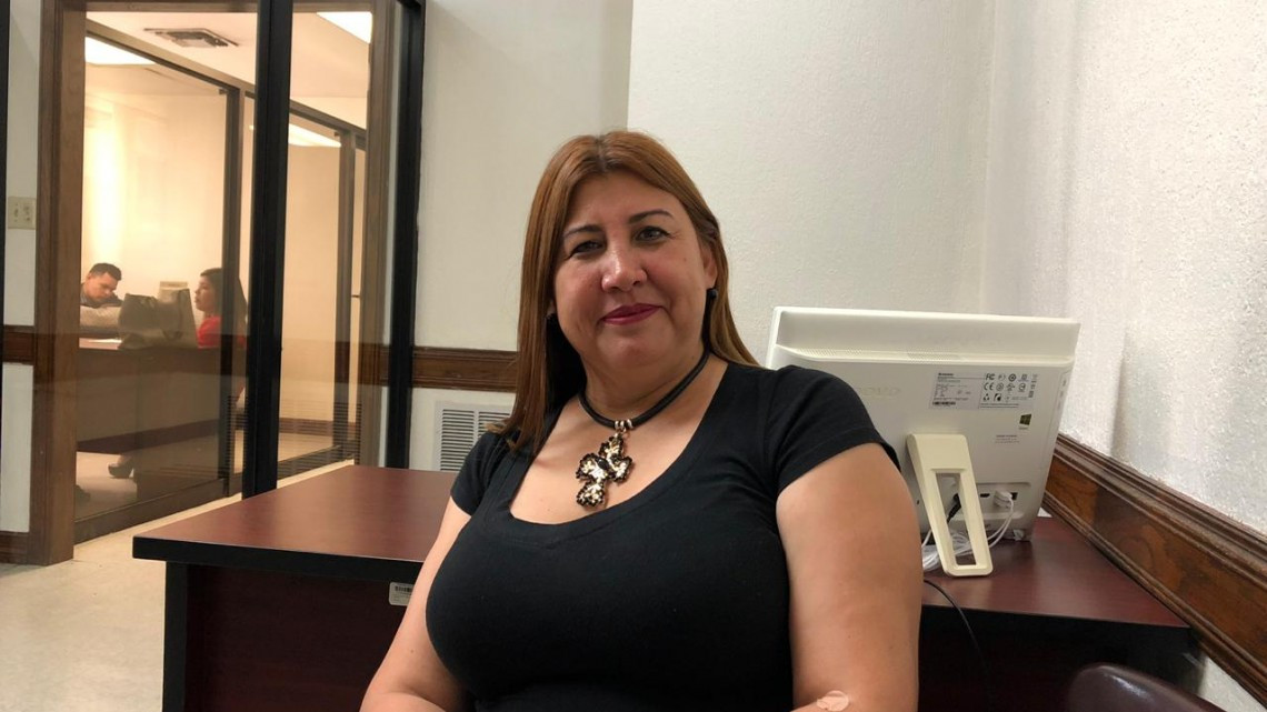 Destruyen cultivo de girasoles en el ejido Revolución