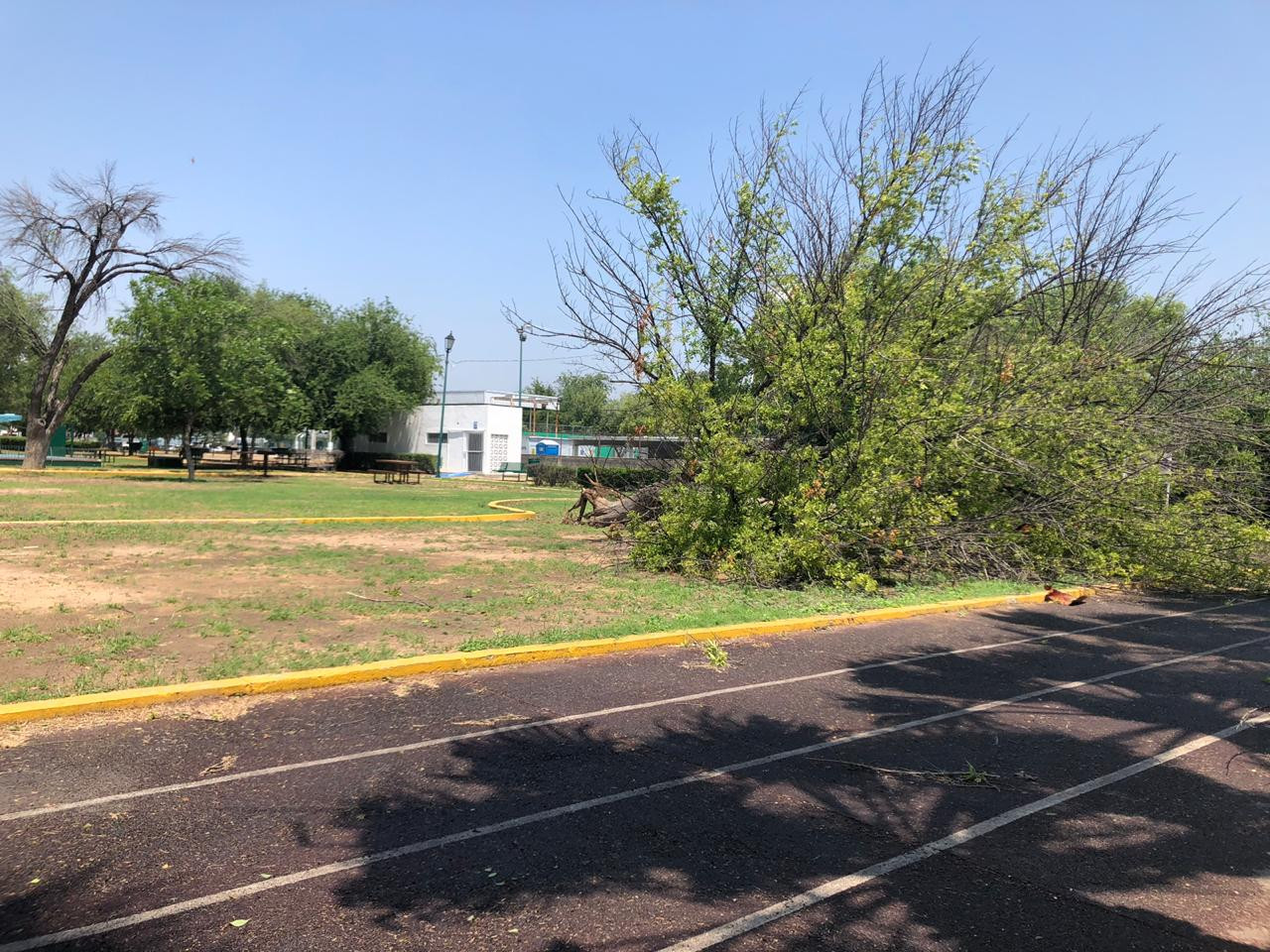 Tromba en Nuevo Laredo