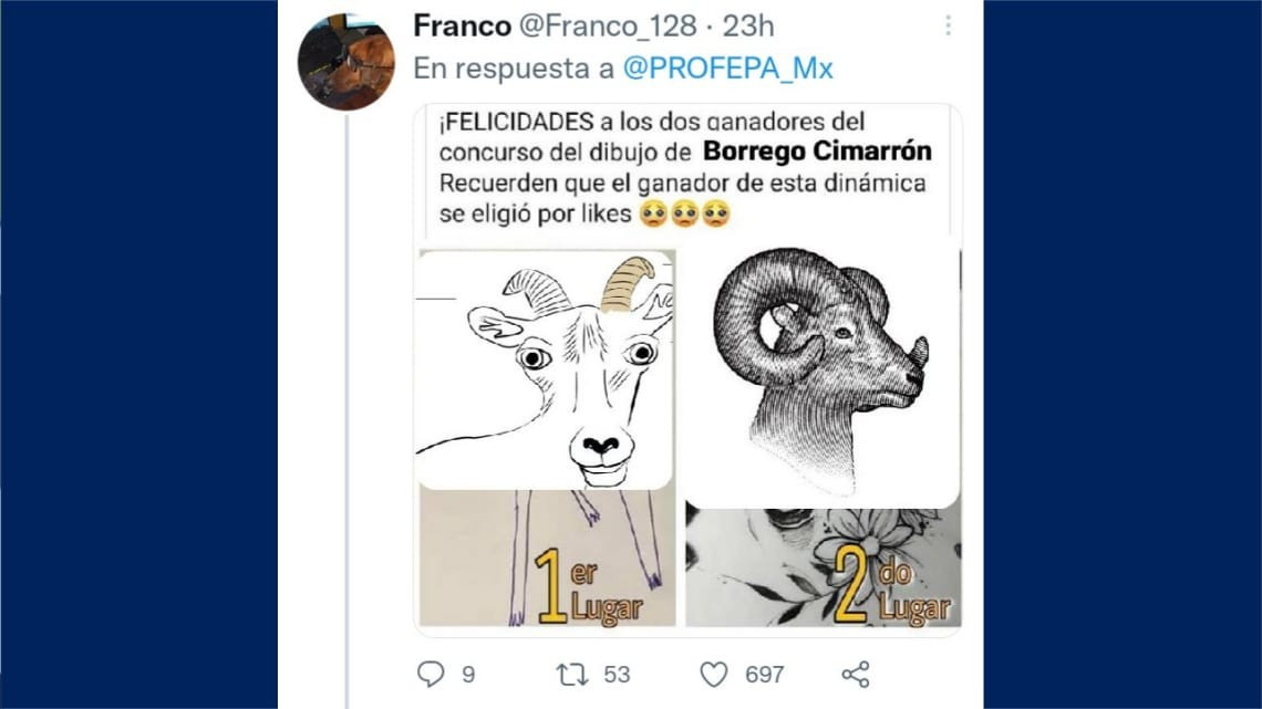 Tunden a la Profepa en redes por sus diseños de flora y fauna mexicana